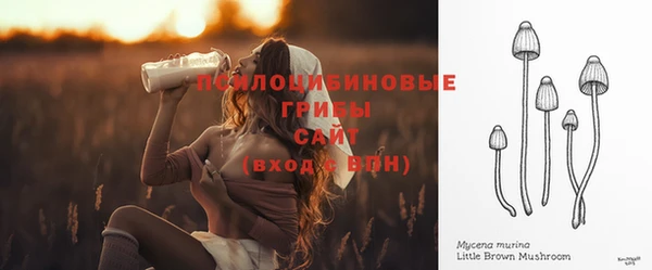 герыч Алзамай