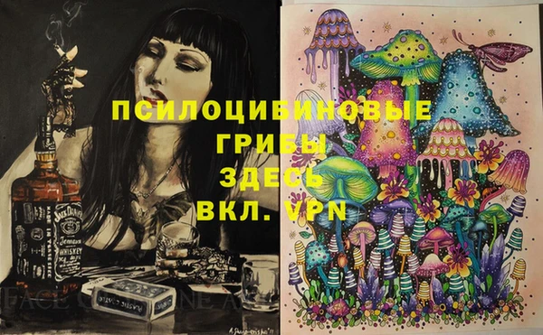стаф Абдулино